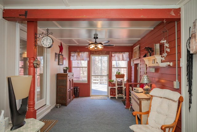 living area with ceiling fan, dark colored carpet, wood walls, and beam ceiling