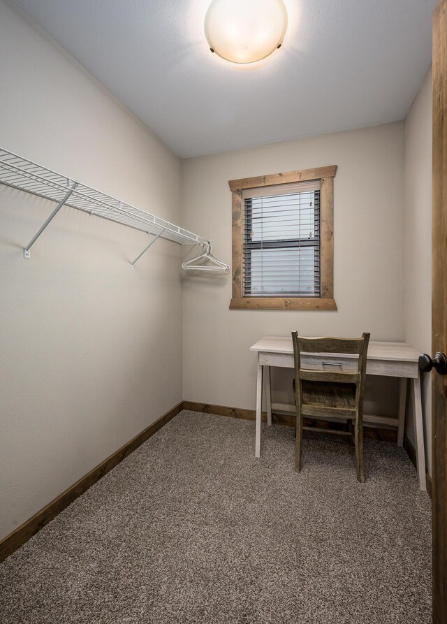 unfurnished office with baseboards and carpet flooring