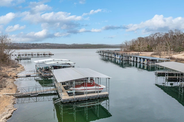 dock area with a water view