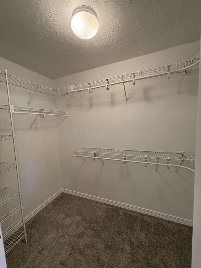 spacious closet with dark carpet