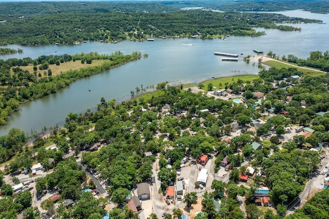 bird's eye view featuring a water view and a forest view