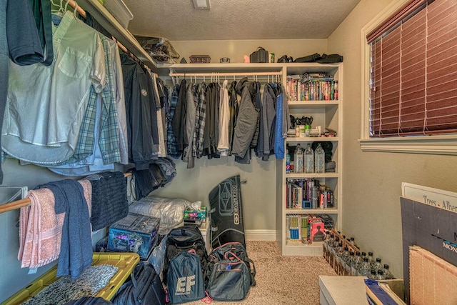 spacious closet with carpet floors and visible vents