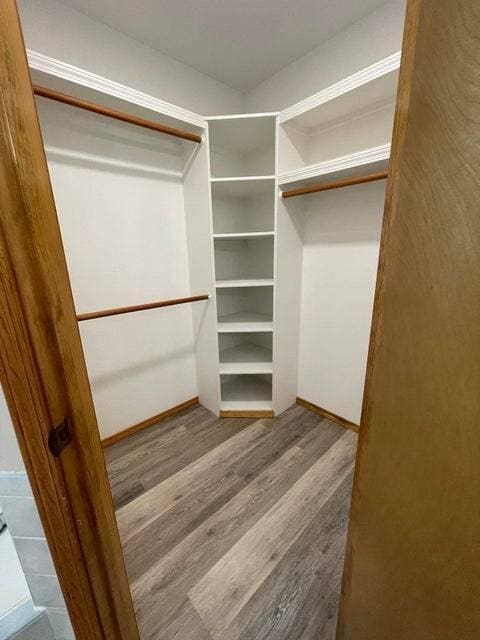 walk in closet with wood finished floors