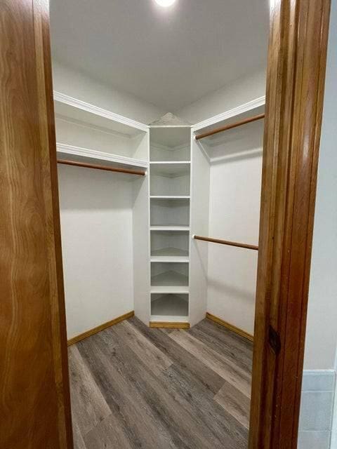 walk in closet featuring wood finished floors