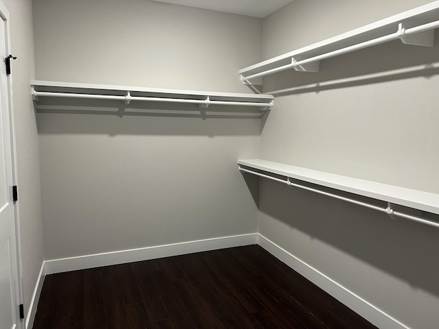 walk in closet with dark wood-style flooring