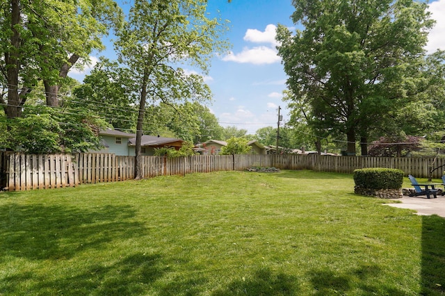 view of yard featuring a patio area and a fenced backyard