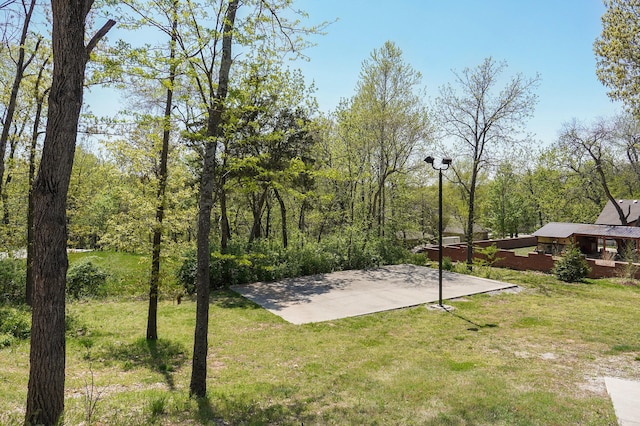 view of yard featuring driveway