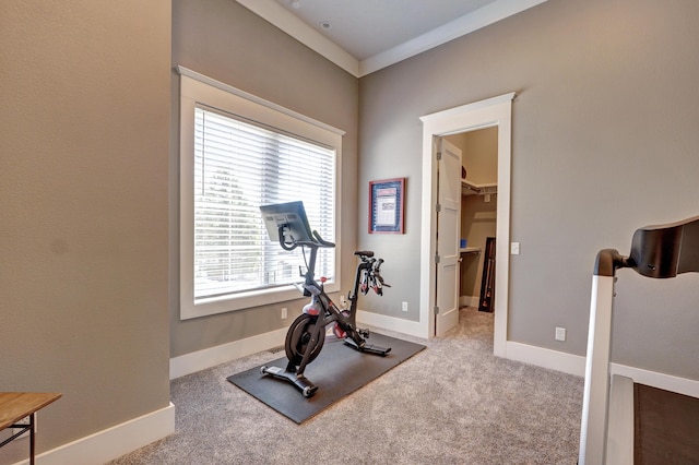 workout room featuring baseboards and carpet