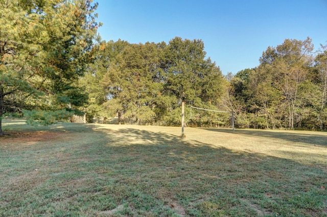 view of yard featuring volleyball court