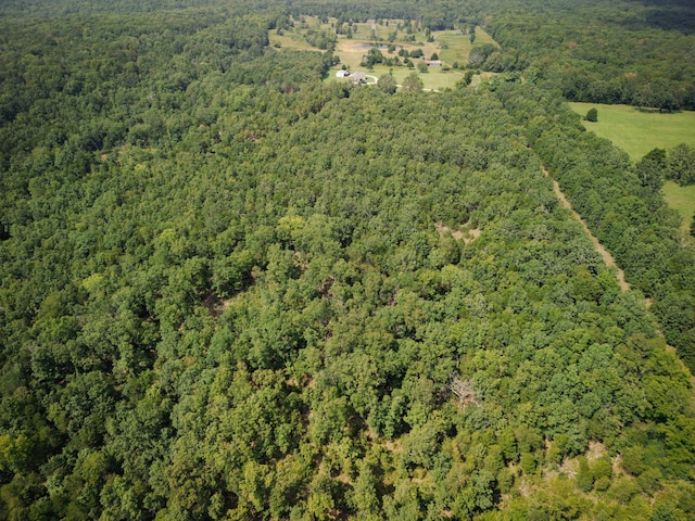 bird's eye view with a forest view