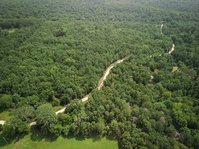 aerial view with a forest view