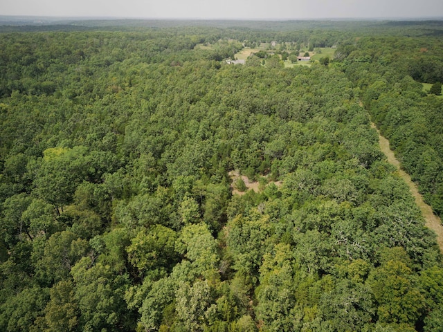 bird's eye view with a forest view