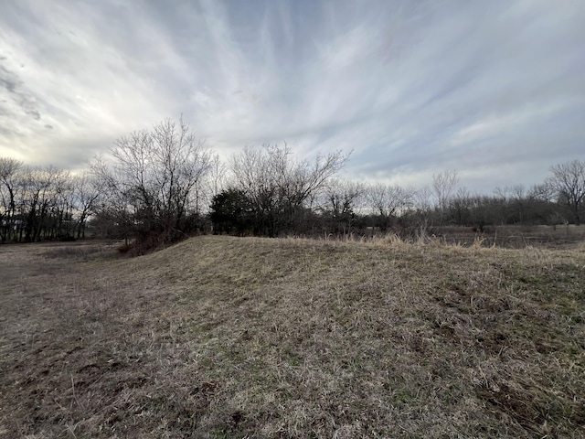 view of local wilderness with a rural view