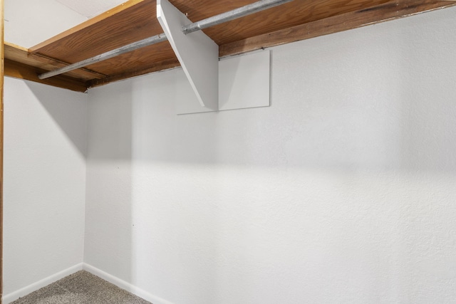 spacious closet with carpet