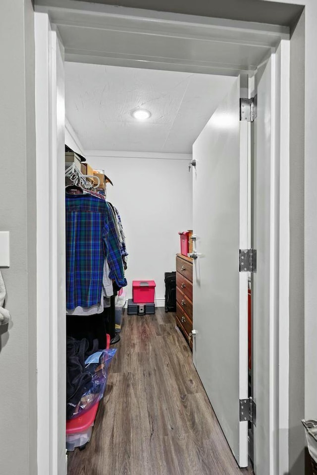 spacious closet featuring wood finished floors