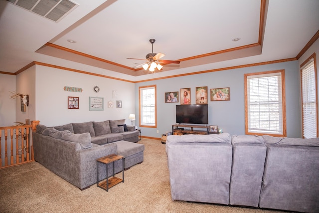 carpeted living area with visible vents, a raised ceiling, and ornamental molding