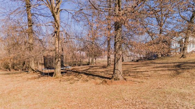 view of local wilderness