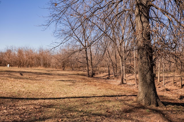 view of local wilderness