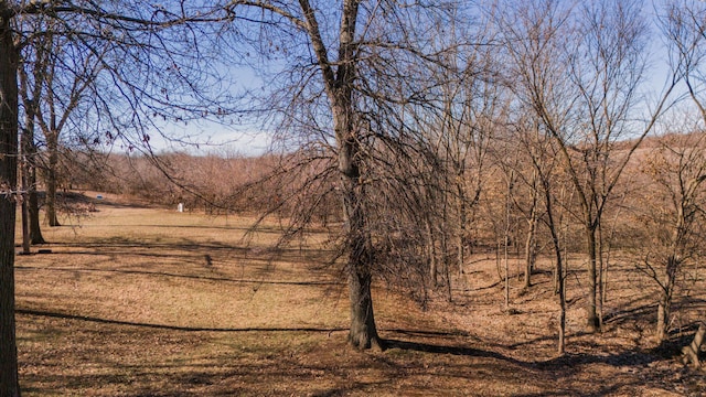 view of local wilderness