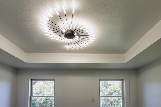 details with a textured ceiling