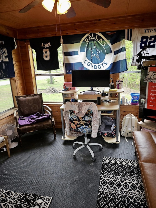 24880 State Highway 413, Galena, MO 65656 - carpeted office space with wooden walls and a ceiling fan