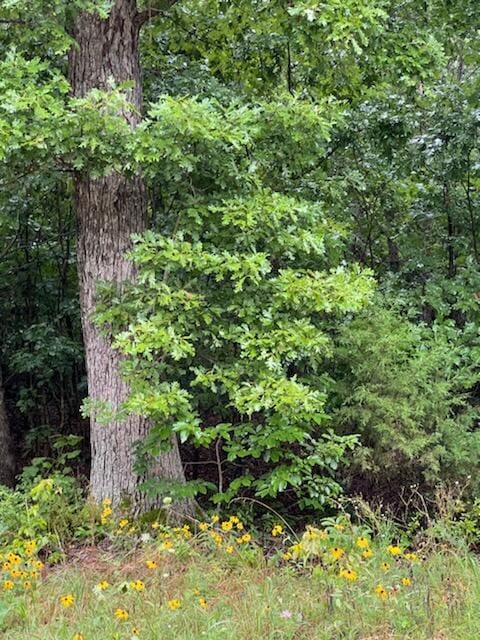 000 Crk Od, Mountain View, MO 65548 - photo 6
