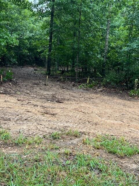 000 Crk Od, Mountain View, MO 65548 - photo 5