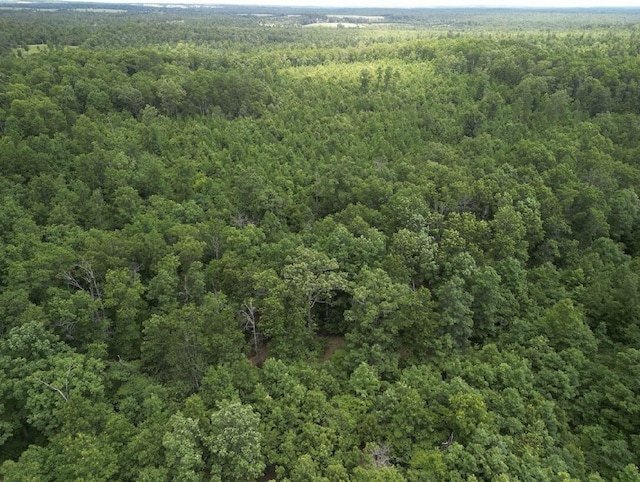 000 Crk Od, Mountain View, MO 65548 - photo 2