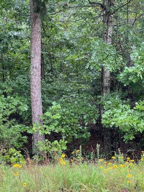 000 Crk Od, Mountain View, MO 65548 - photo 7