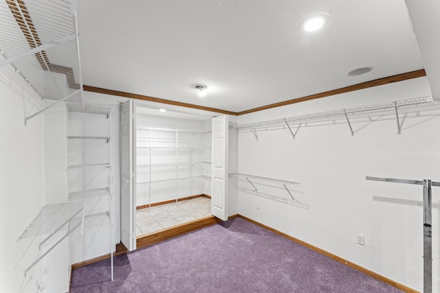 spacious closet featuring carpet flooring