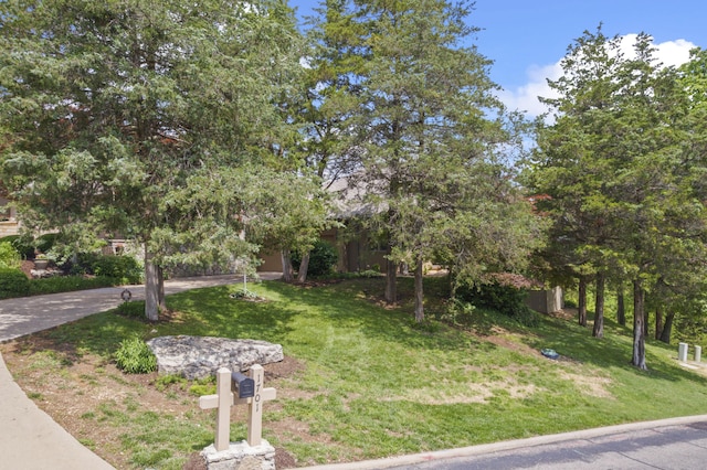 1701 Cedar Ridge Way, Branson West, MO 65737 - view of property hidden behind natural elements featuring a front lawn