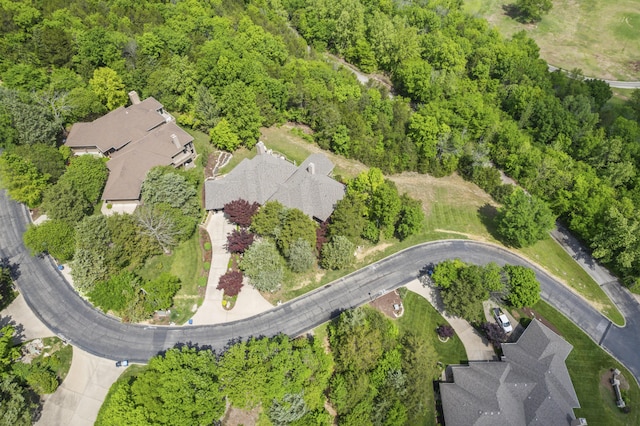 1701 Cedar Ridge Way, Branson West, MO 65737 - view of property location