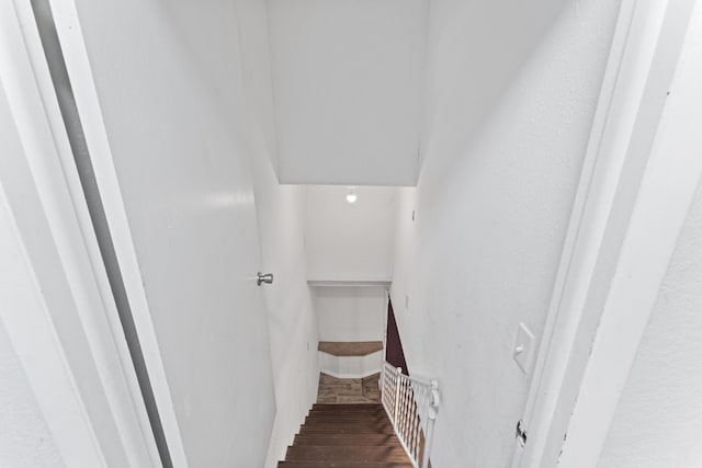 staircase featuring wood finished floors