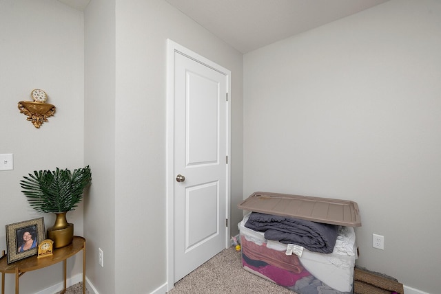 bedroom with carpet