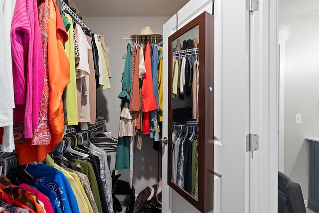 view of walk in closet