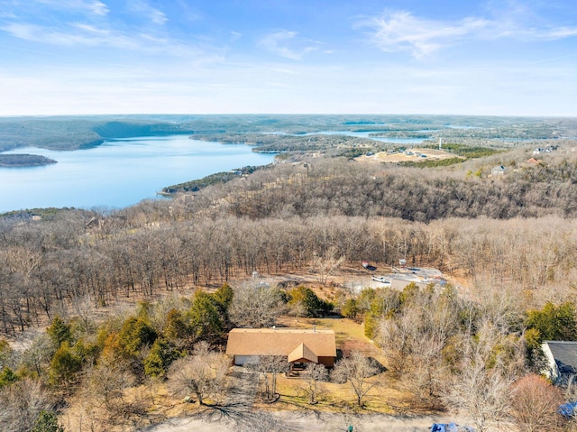 drone / aerial view with a water view and a view of trees