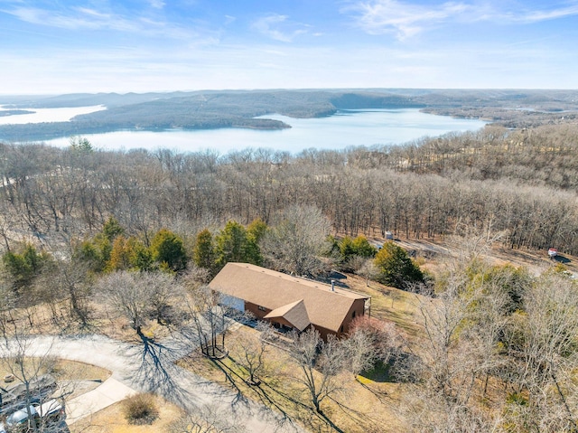 birds eye view of property with a water view and a wooded view