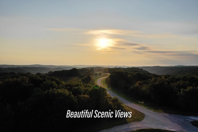 property view of mountains featuring a wooded view