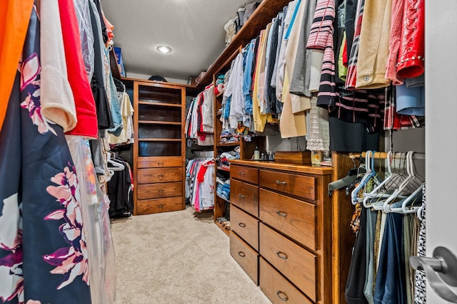 spacious closet with carpet