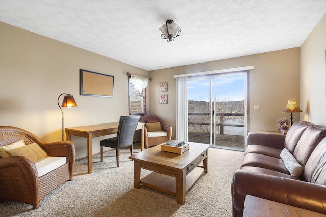 living area with carpet floors and a textured ceiling