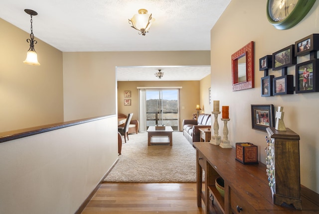 hallway with wood finished floors