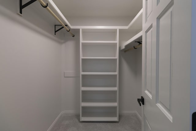 walk in closet featuring carpet flooring