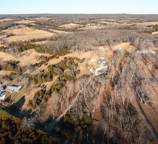 bird's eye view