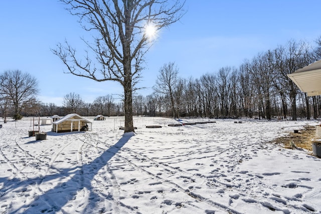 view of snowy yard