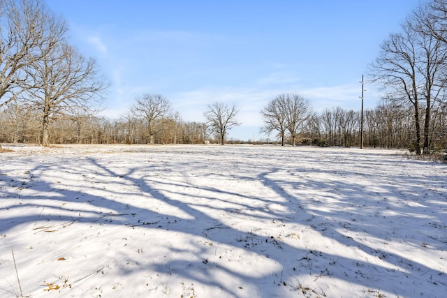 view of yard layered in snow