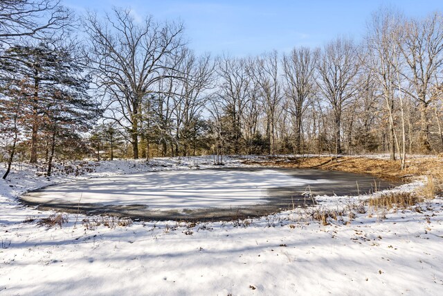 view of yard covered in snow