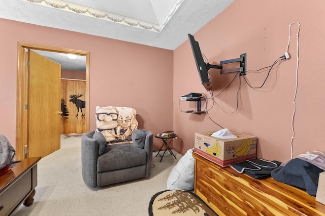 sitting room with a textured ceiling