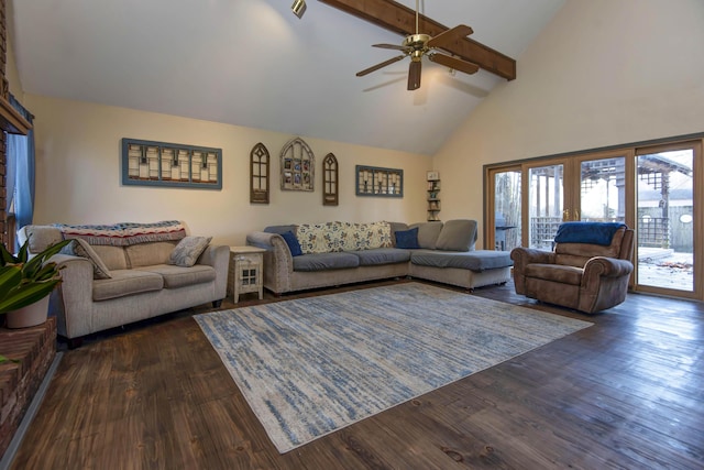 living room featuring ceiling fan, beam ceiling, high vaulted ceiling, and dark wood-type flooring