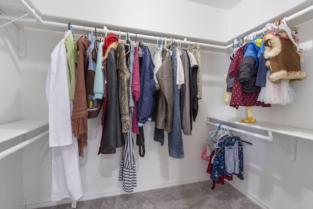 spacious closet with carpet