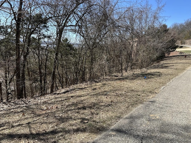 Listing photo 3 for LOT15 Canyon Pkwy, Branson MO 65616